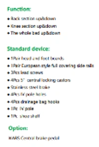 Vin Win 3 Function Electric ICU Bed